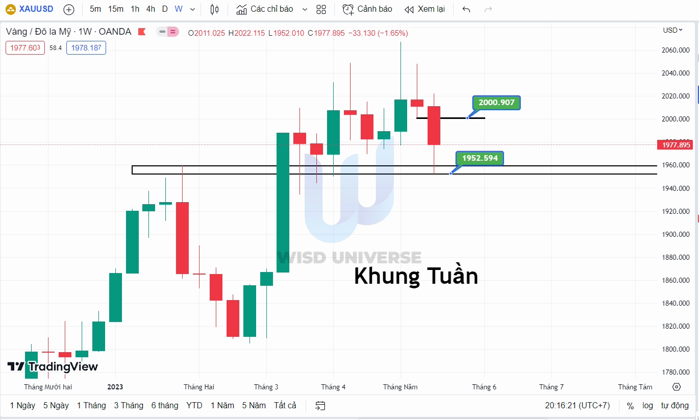 thi-truong-vang-2005-6