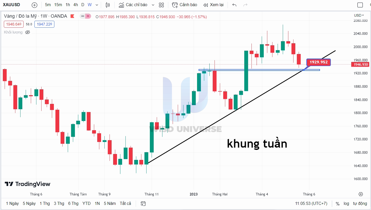 thi-truong-vang-2805-6