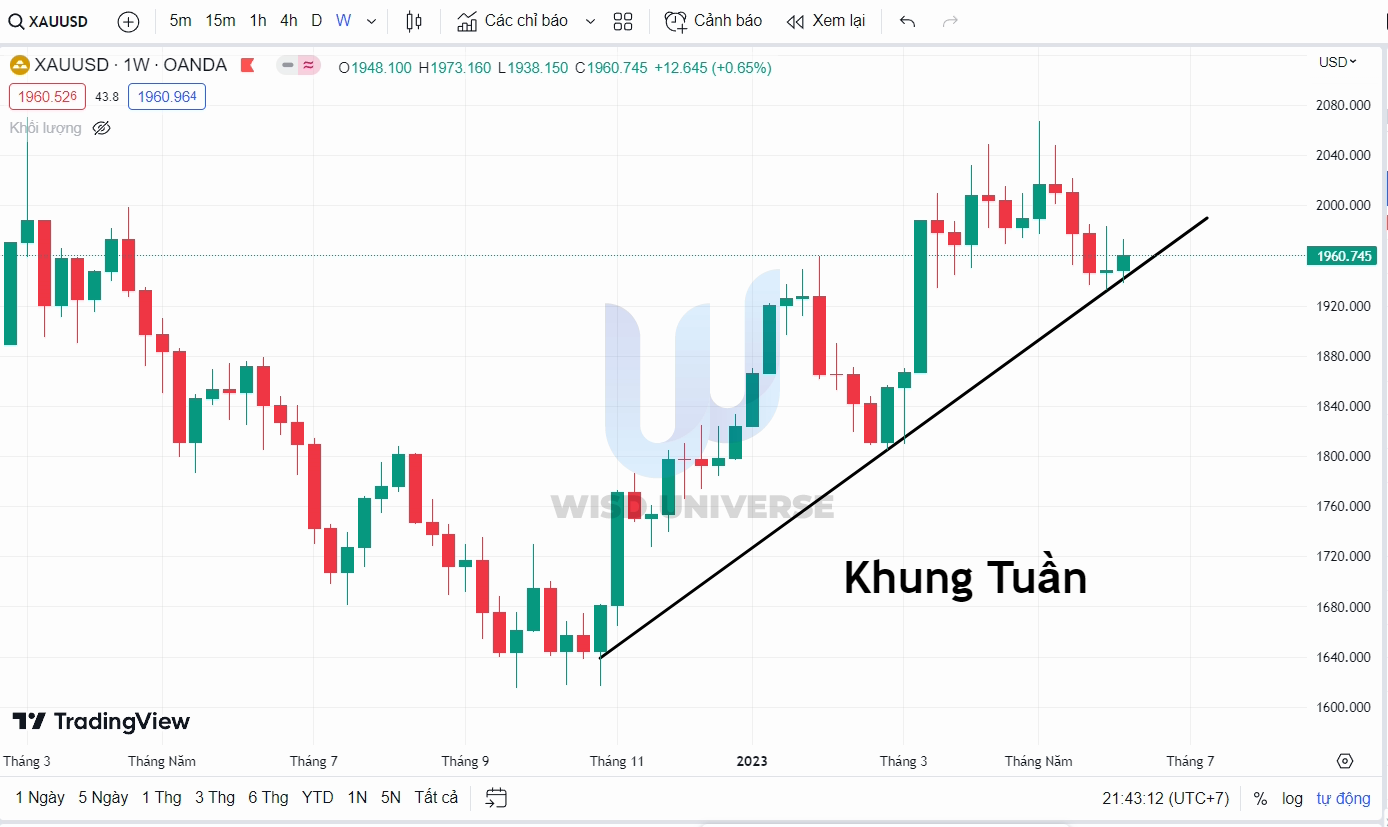 thi-truong-vang-1006-6