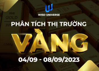 Thị Trường Vàng 28/08~01/09/2023