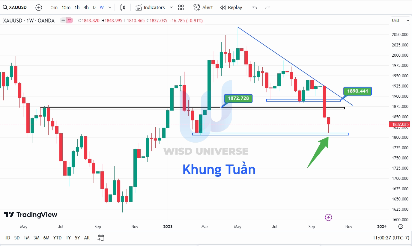 thi-truong-vang-0810-6