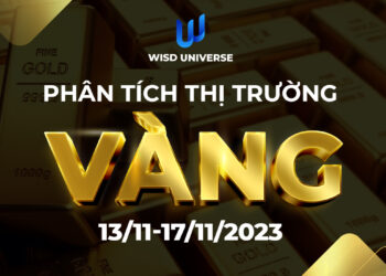 Thị Trường Vàng 13/11~17/11/2023