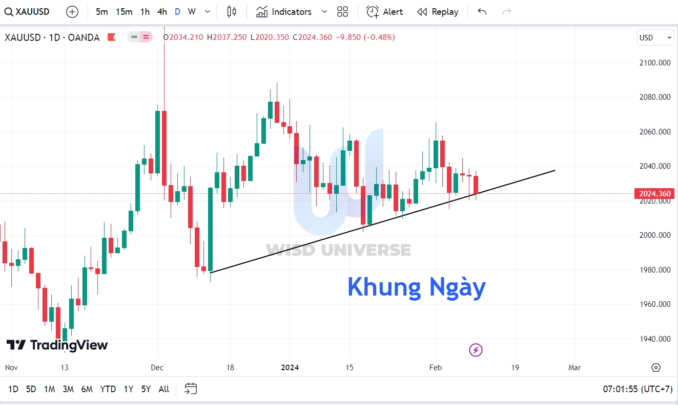 thi-truong-vang-1102-7