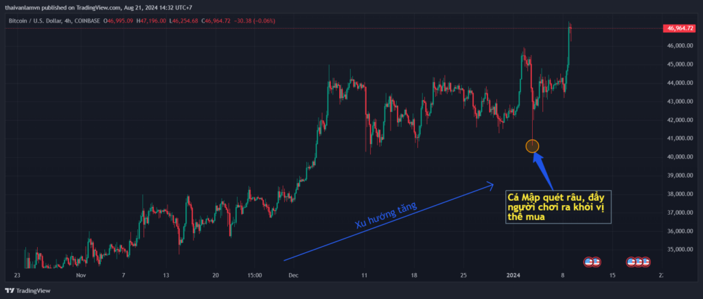 thị trường forex