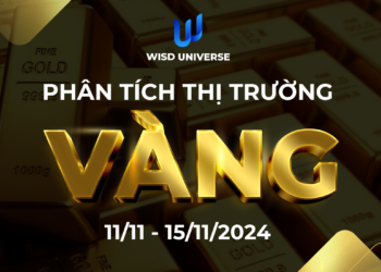 Thị Trường Vàng 11/11~15/11/2024
