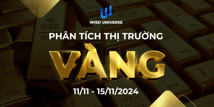 Thị Trường Vàng 11/11~15/11/2024