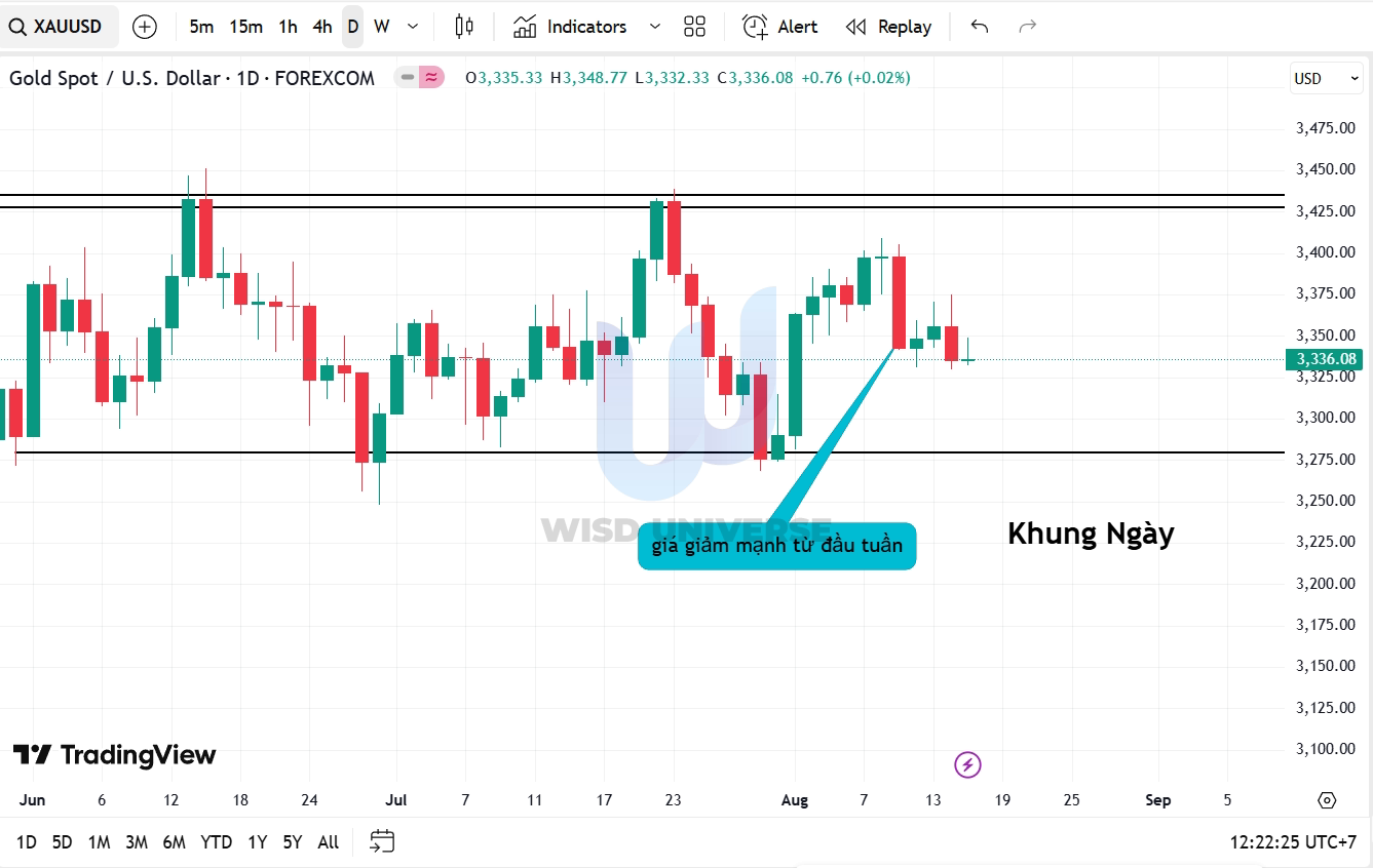 thi-truong-vang-1708-7