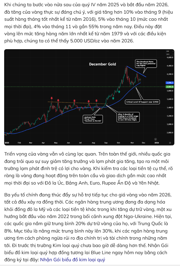 thi-truong-vang-2311-1