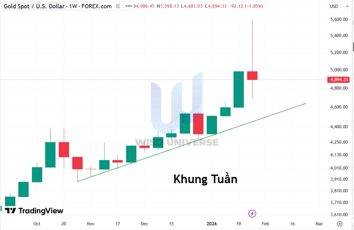 thi-truong-vang-0102-6