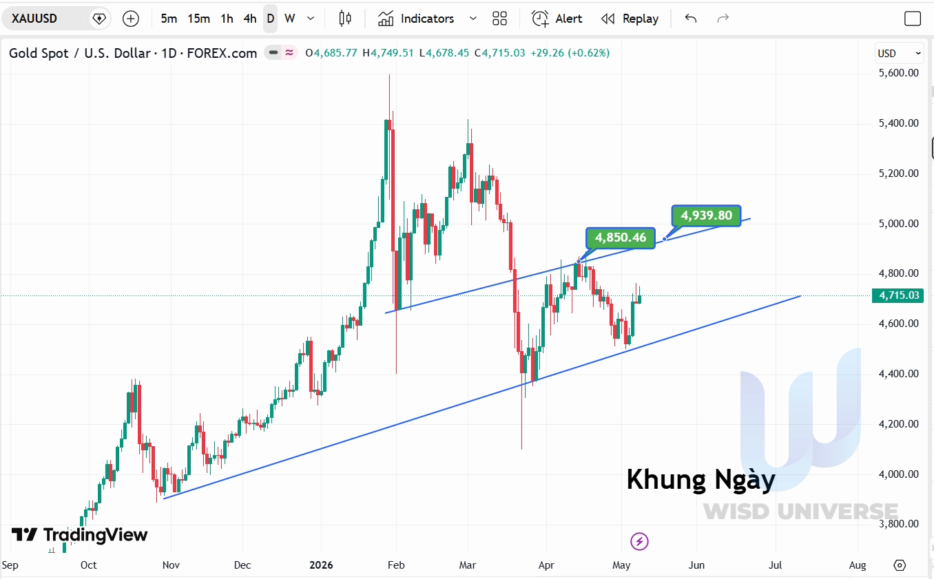 thi-truong-vang-1005-7