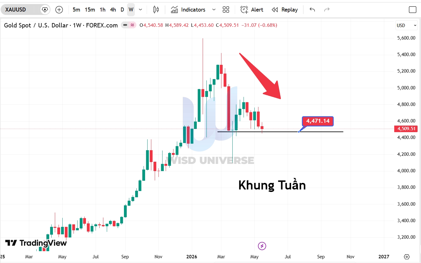 thi-truong-vang-2405-6 thi-truong-vang-2405-6