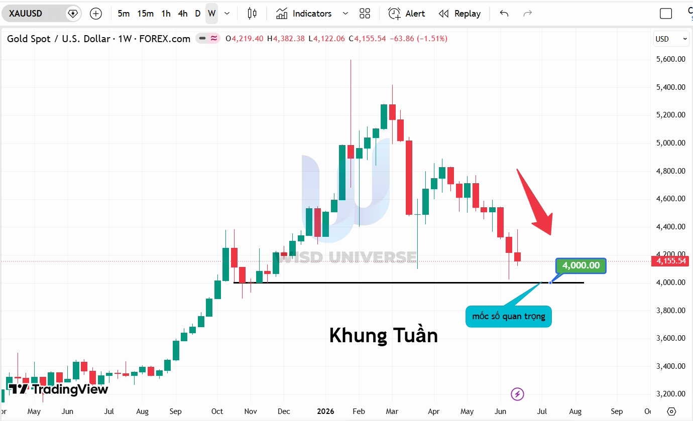 thi-truong-vang-2006-6