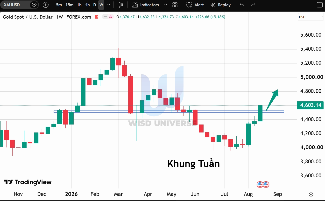 thi-truong-vang-2308-6 thi-truong-vang-2308-6